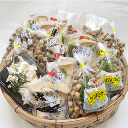 きのこの詰め合わせセット 2,500円